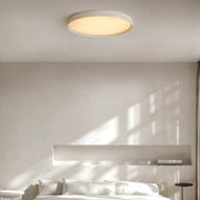 Antizer Minimalist Flat Round Flush Mount Ceiling Light