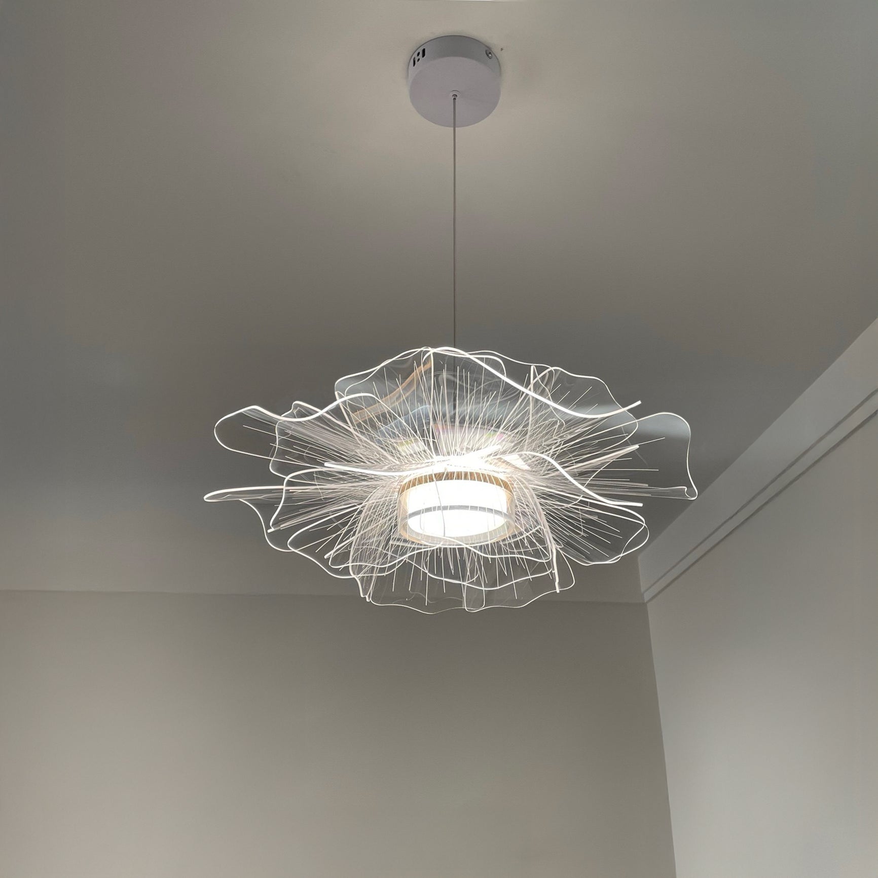 Antizer Modern Art Acrylic Flower Pendant Light
