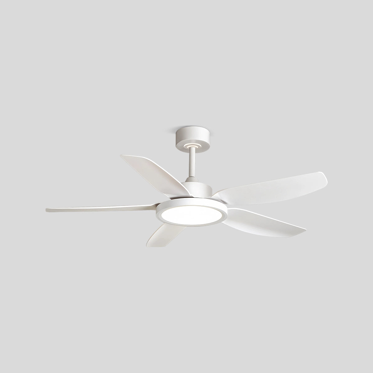 Antizer Modern White Ceiling Fans with Lights and Remote 5 Blades