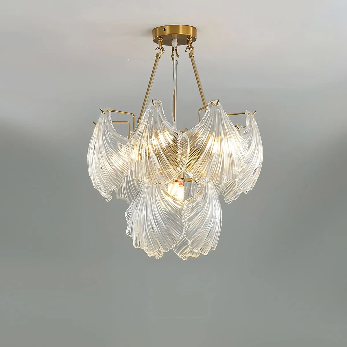 Antizer Vintage Rowan Glass Shell Chandelier Brass 60cm / 23.62“
