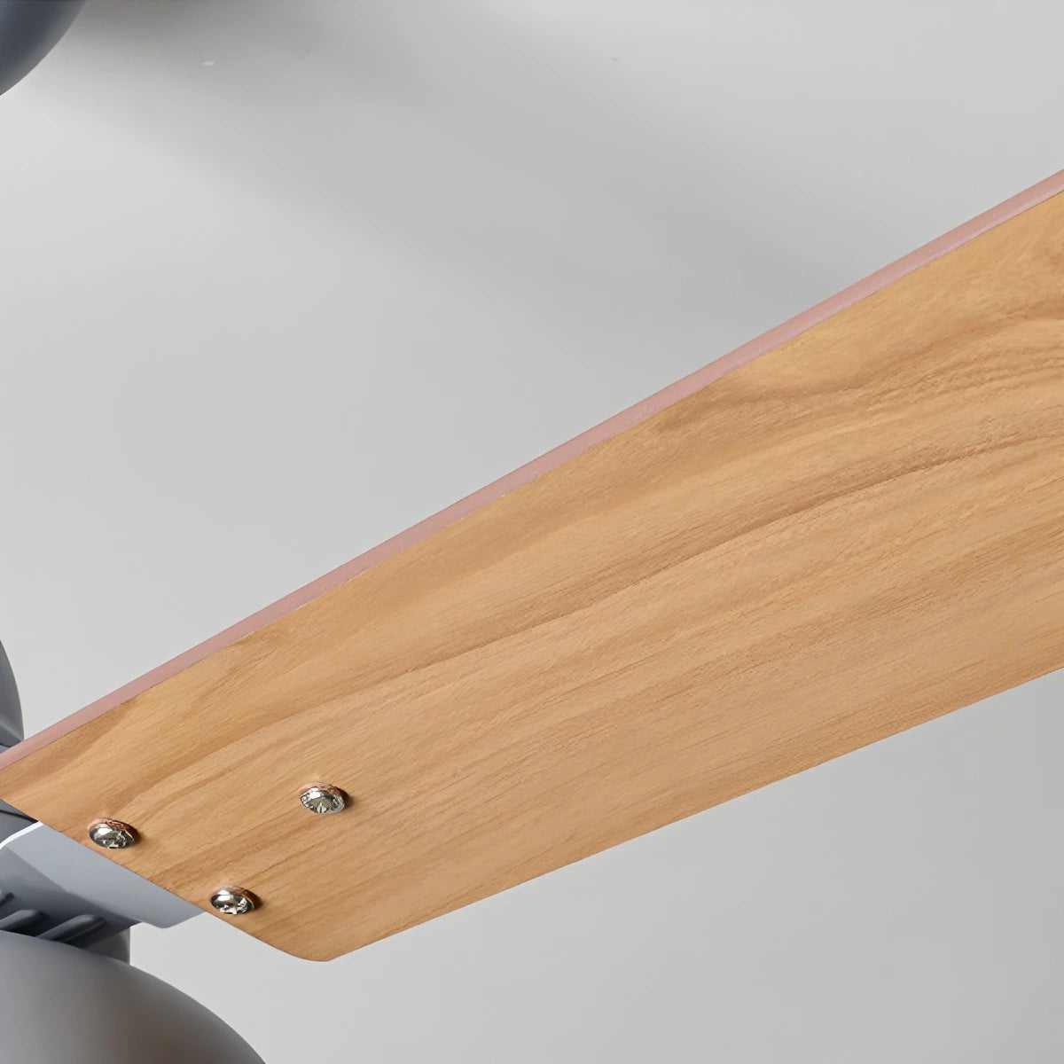 Antizer Modern Minimalist Three Leaf Ceiling Fan Light