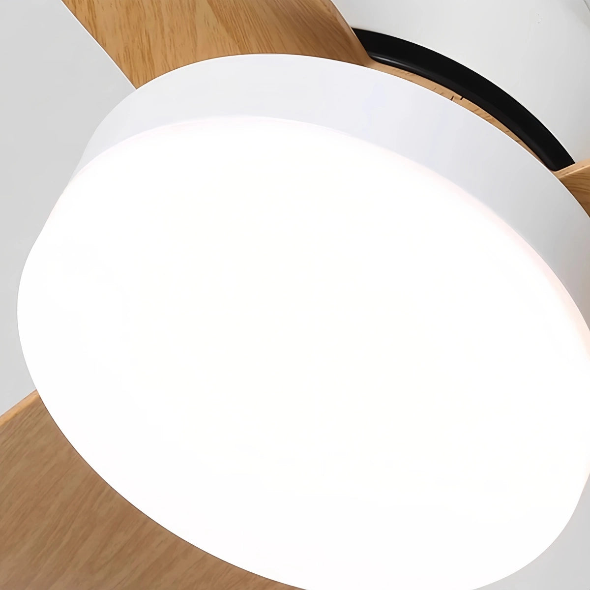 Antizer Small Propeller Ceiling Fan With Light