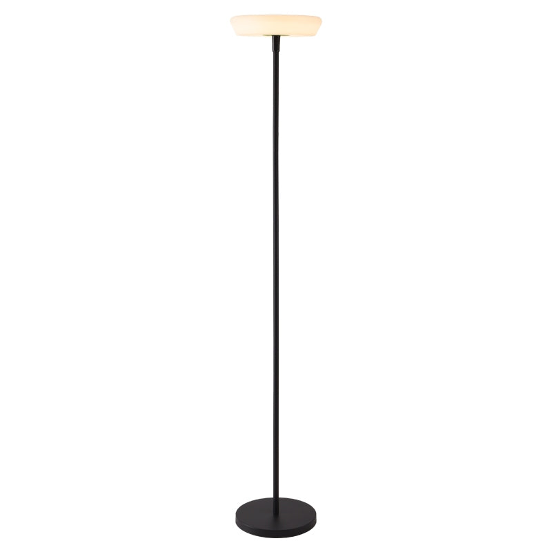 Antizer Outdoor Solar LED Floor Lamp for Garden Style B
