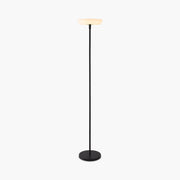 Antizer Outdoor Solar LED Floor Lamp for Garden