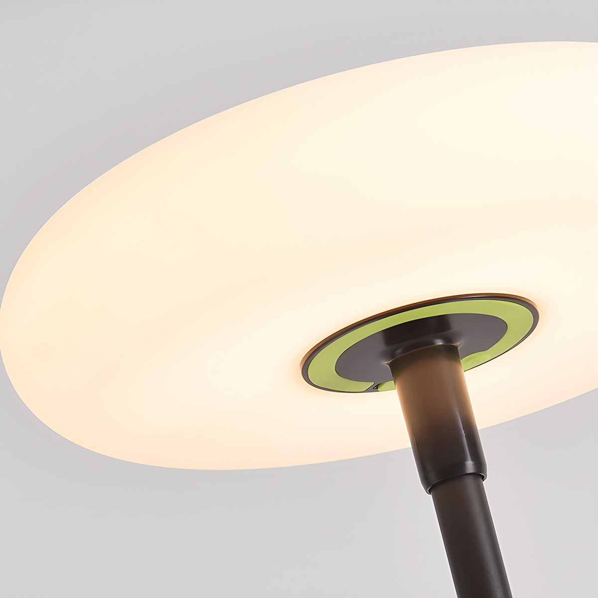 Antizer Outdoor Solar LED Floor Lamp for Garden