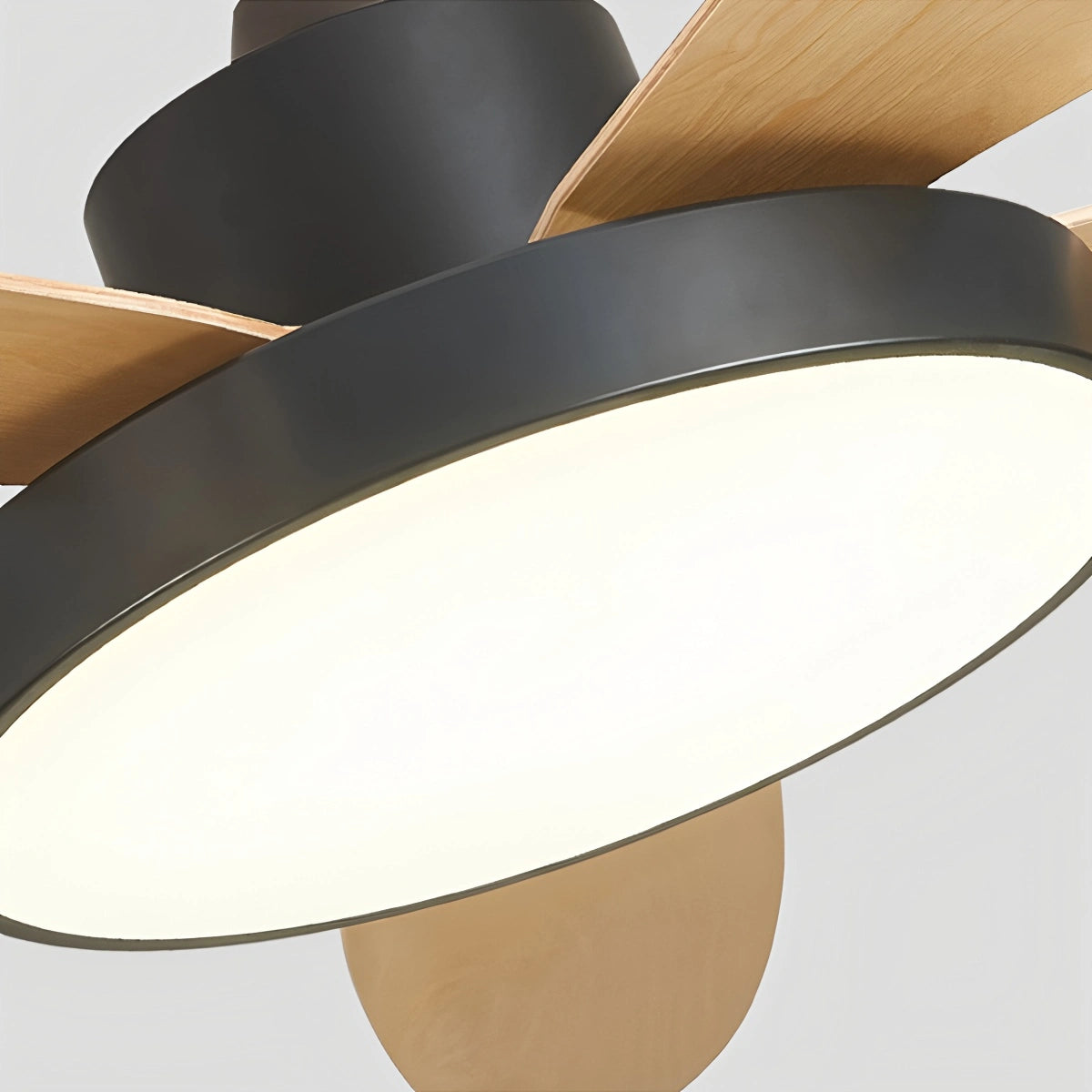 Antizer 5 Blade Modern Ceiling Fan Lamp for Living Room