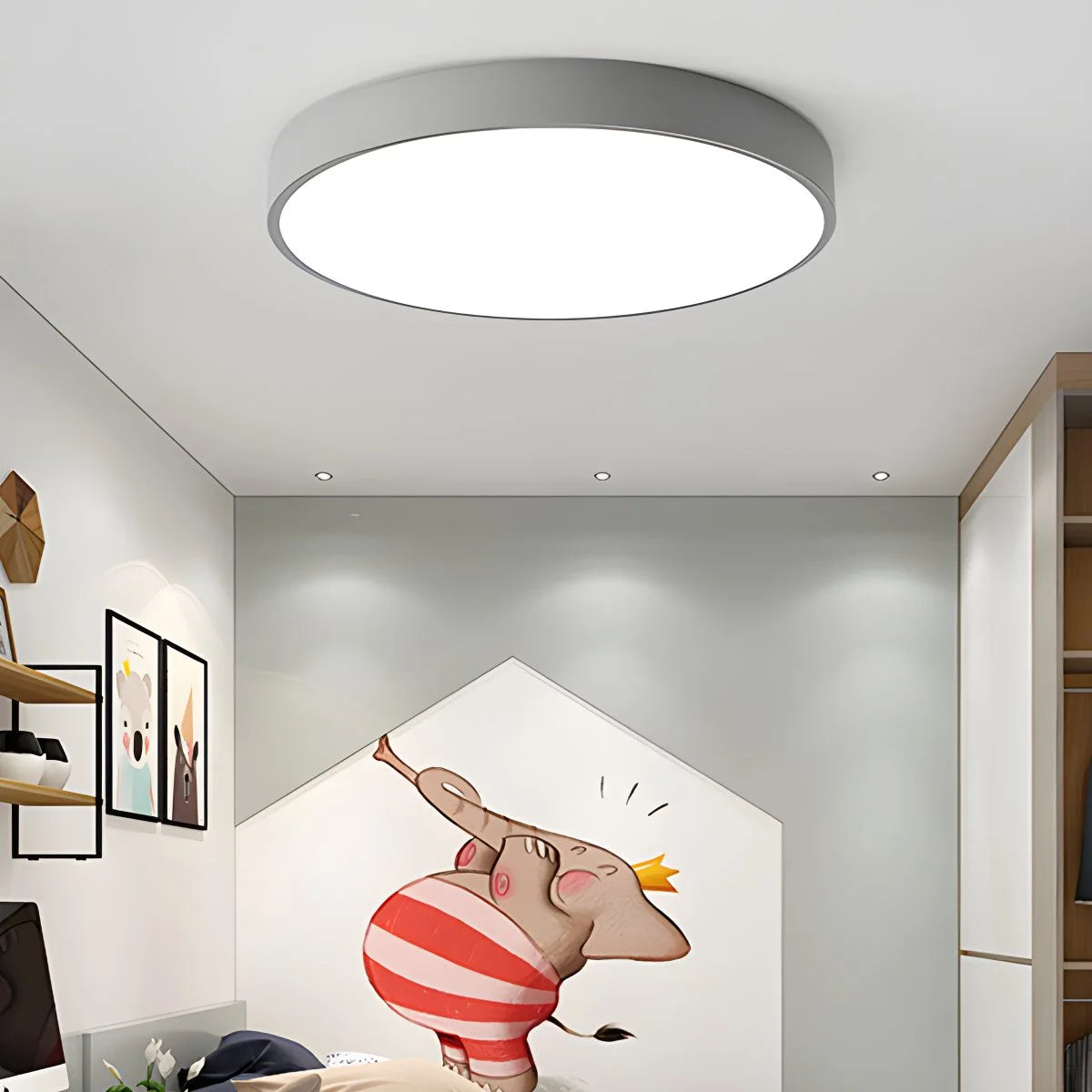flush mount circular ceiling light