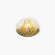 Antizer Light Luxury Brass Shell Glass Wall Lamp