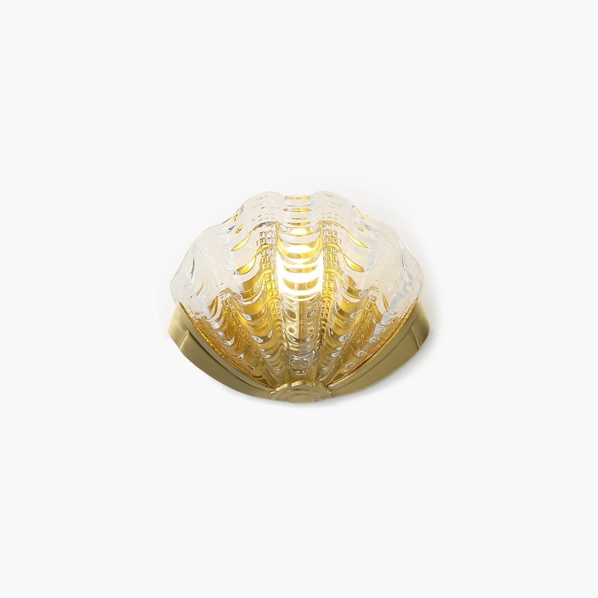 Antizer Light Luxury Brass Shell Glass Wall Lamp