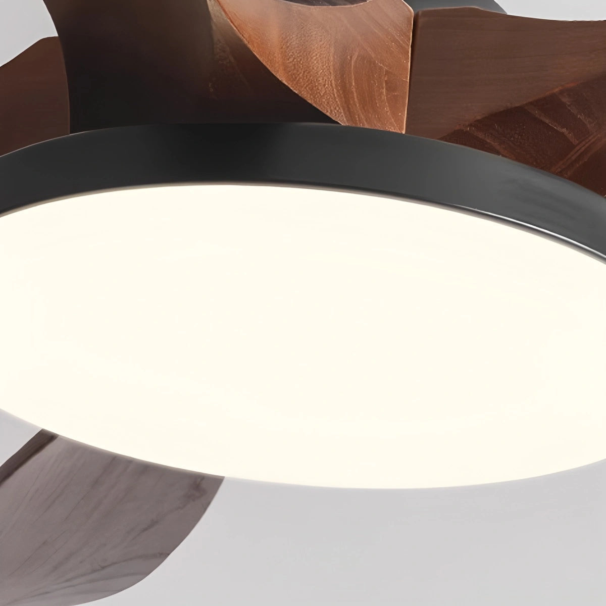 Antizer 5-leaf Wood Ceiling Fan Light