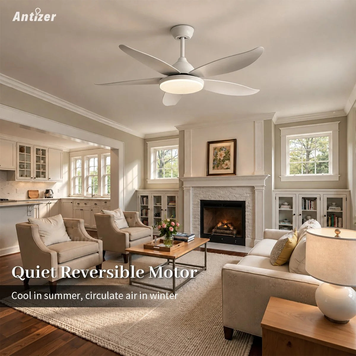 Antizer 5 Blade Contemporary Ceiling Fan Lamp