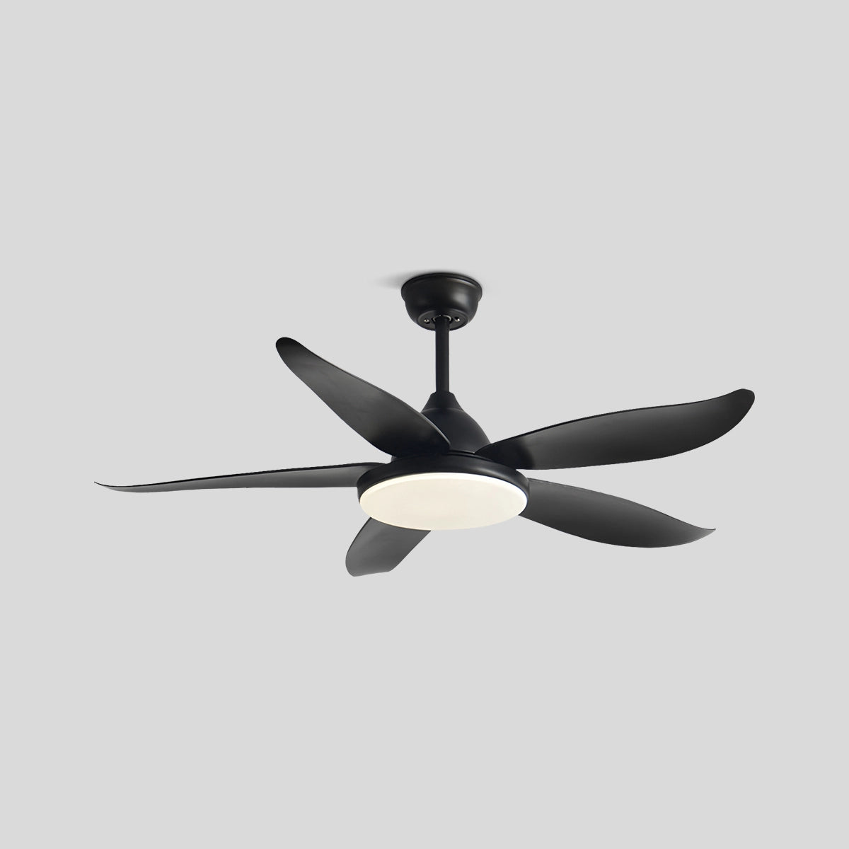 Antizer 5 Blade Contemporary Ceiling Fan Lamp Black