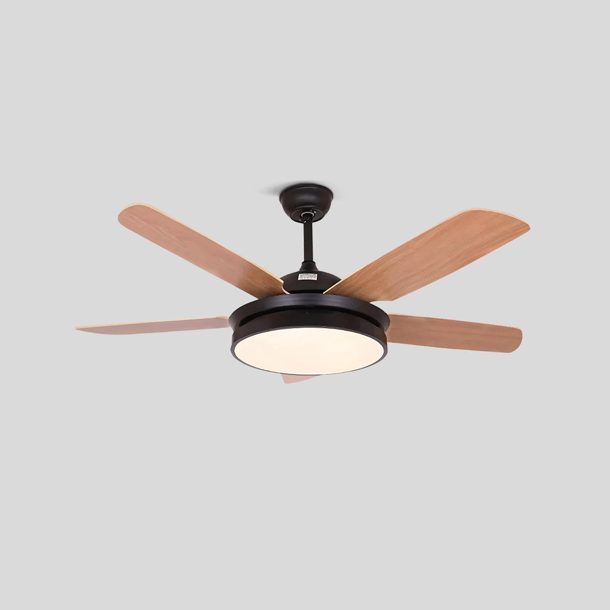 Antizer 5 Blade Ceiling Fan Light for Living Room Black D132cm / 52"