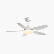 Antizer White Remote Control Ceiling Fan Light