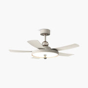 Antizer Silent Ceiling Fan with Light & Remote Control