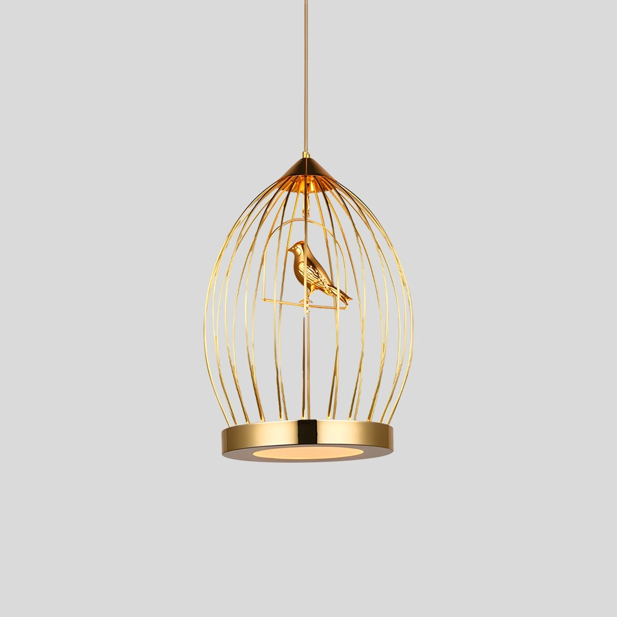 Antizer Creative Birdcage Pendant Light for Living Room Gold Round Warm Light