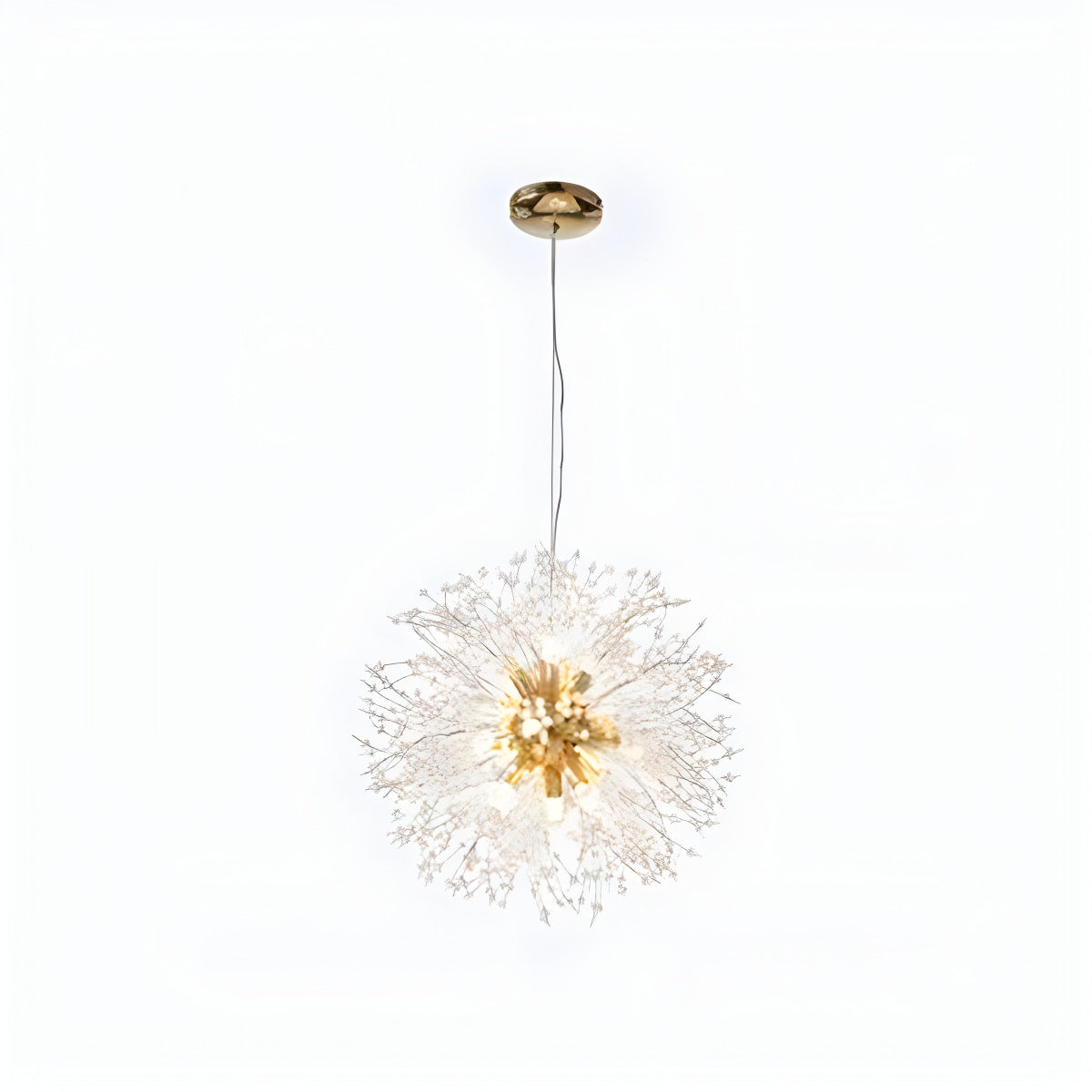 Antizer Charlie Dandelion Crystal Chandelier Gold 50cm / 19.69"