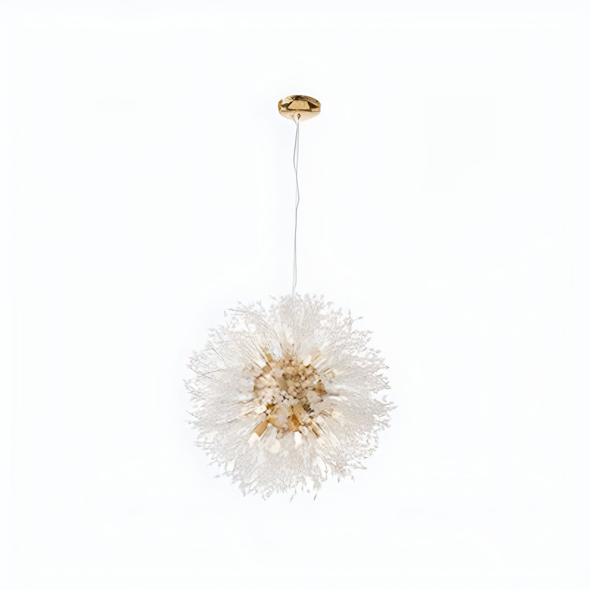 Antizer Charlie Dandelion Crystal Chandelier Gold 55cm / 21.65"