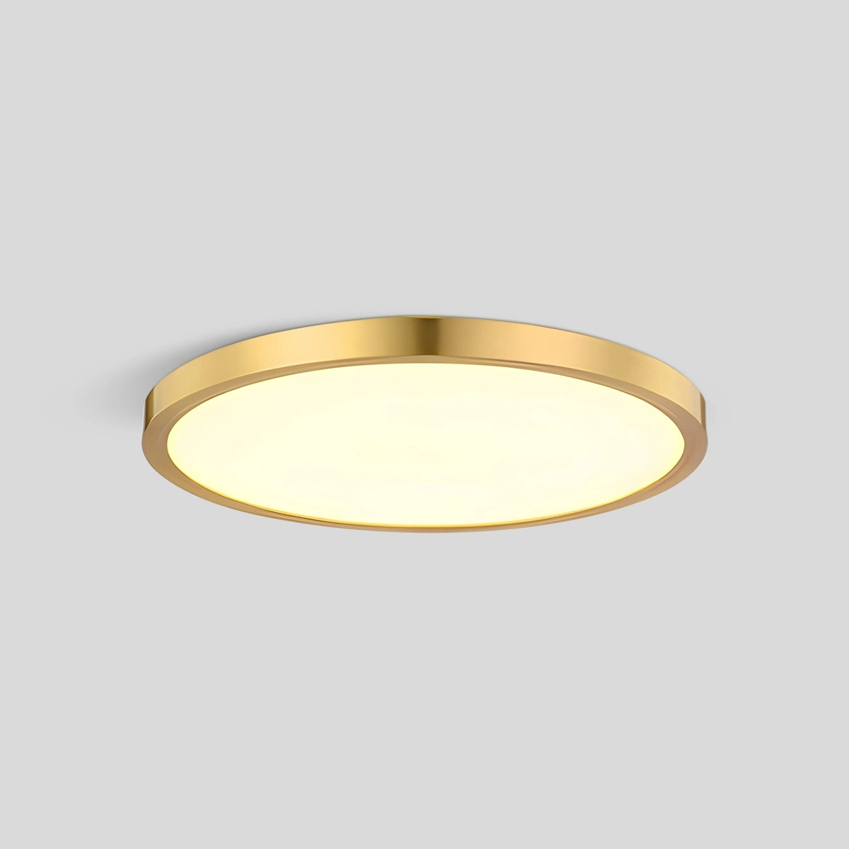 Antizer Ultra Thin Minimalist Ceiling Light for Bedroom Gold