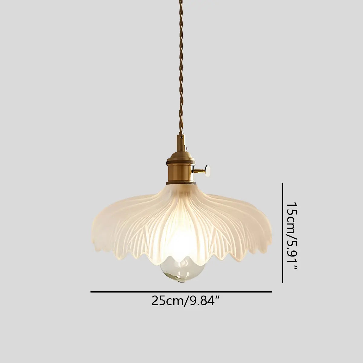 Clear Glass Pendant Light