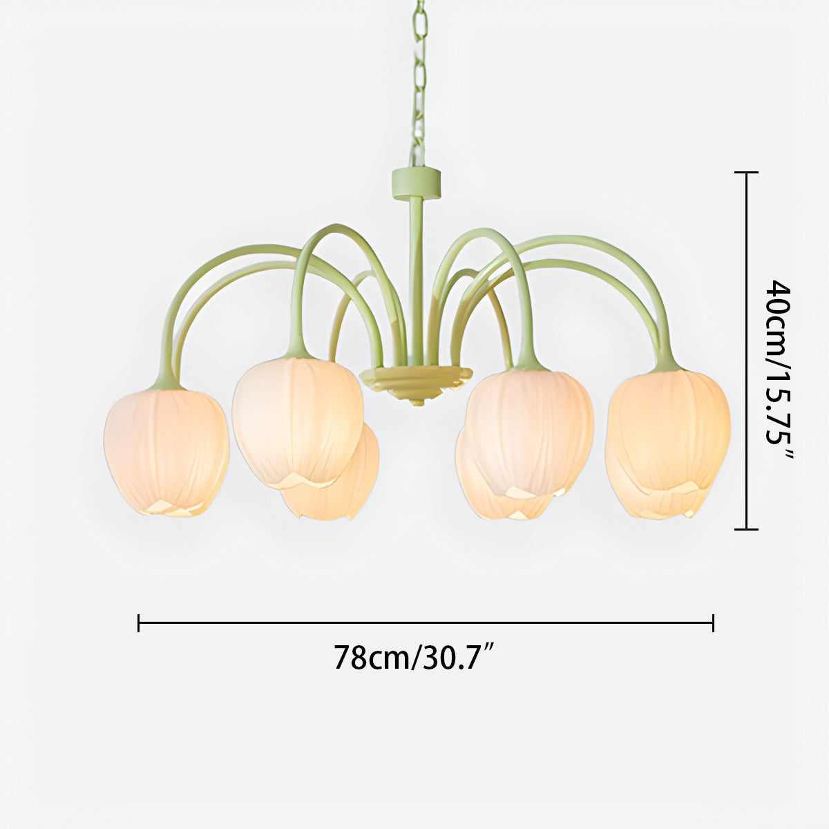 tulip chandelier size