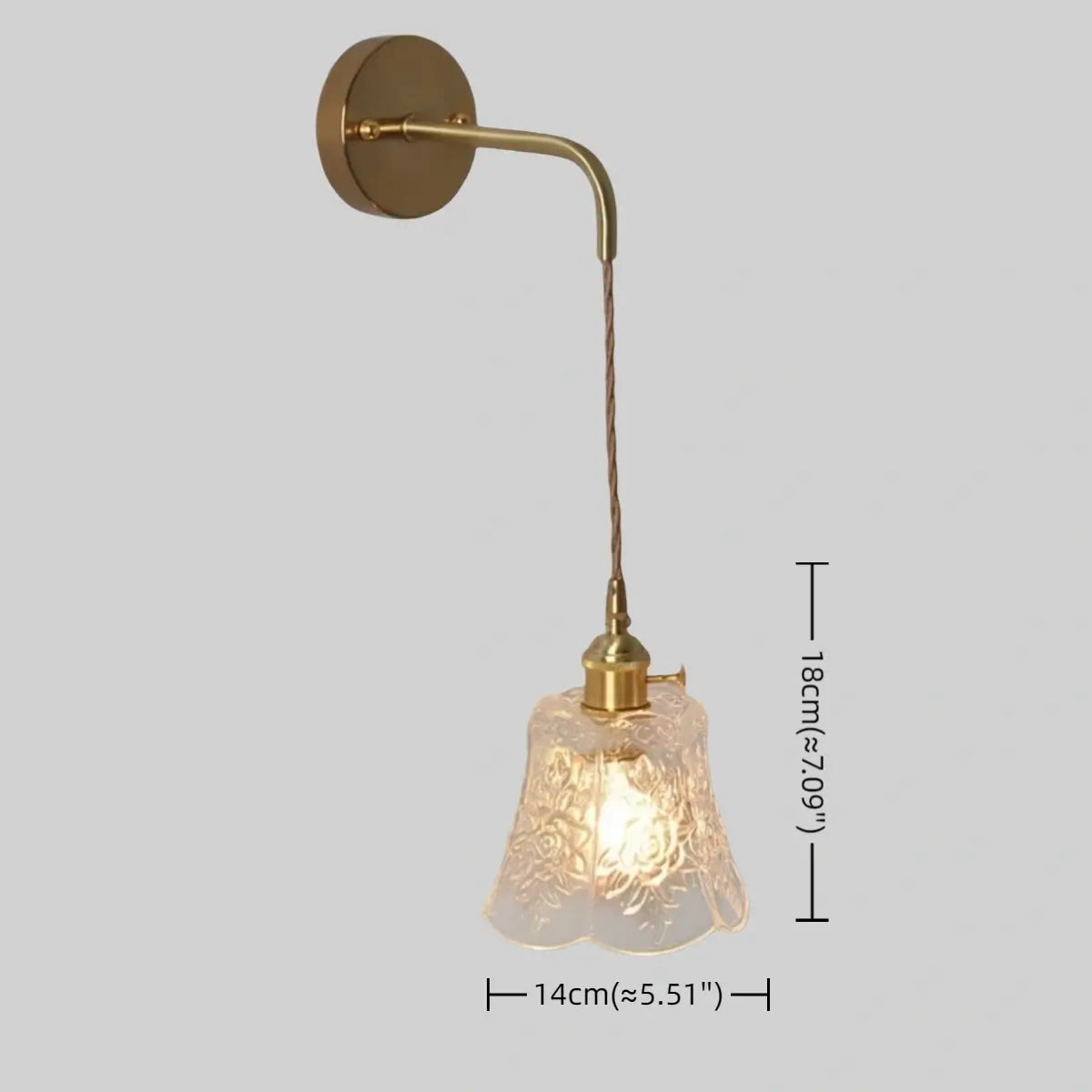 Antizer Flower Shape Brass Glass Pendant Light