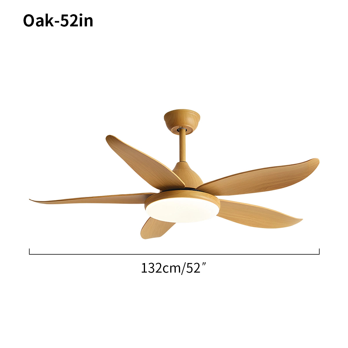 Antizer 5 Blade Contemporary Ceiling Fan Lamp