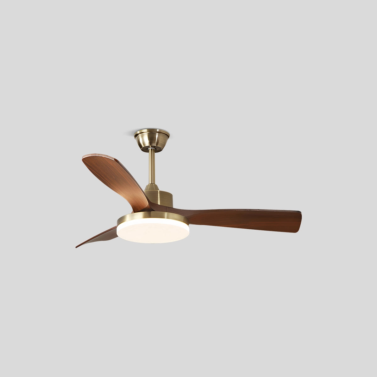 Antizer Modern 5-leaf Remote Control Ceiling Fan Light Style A 3 Blade