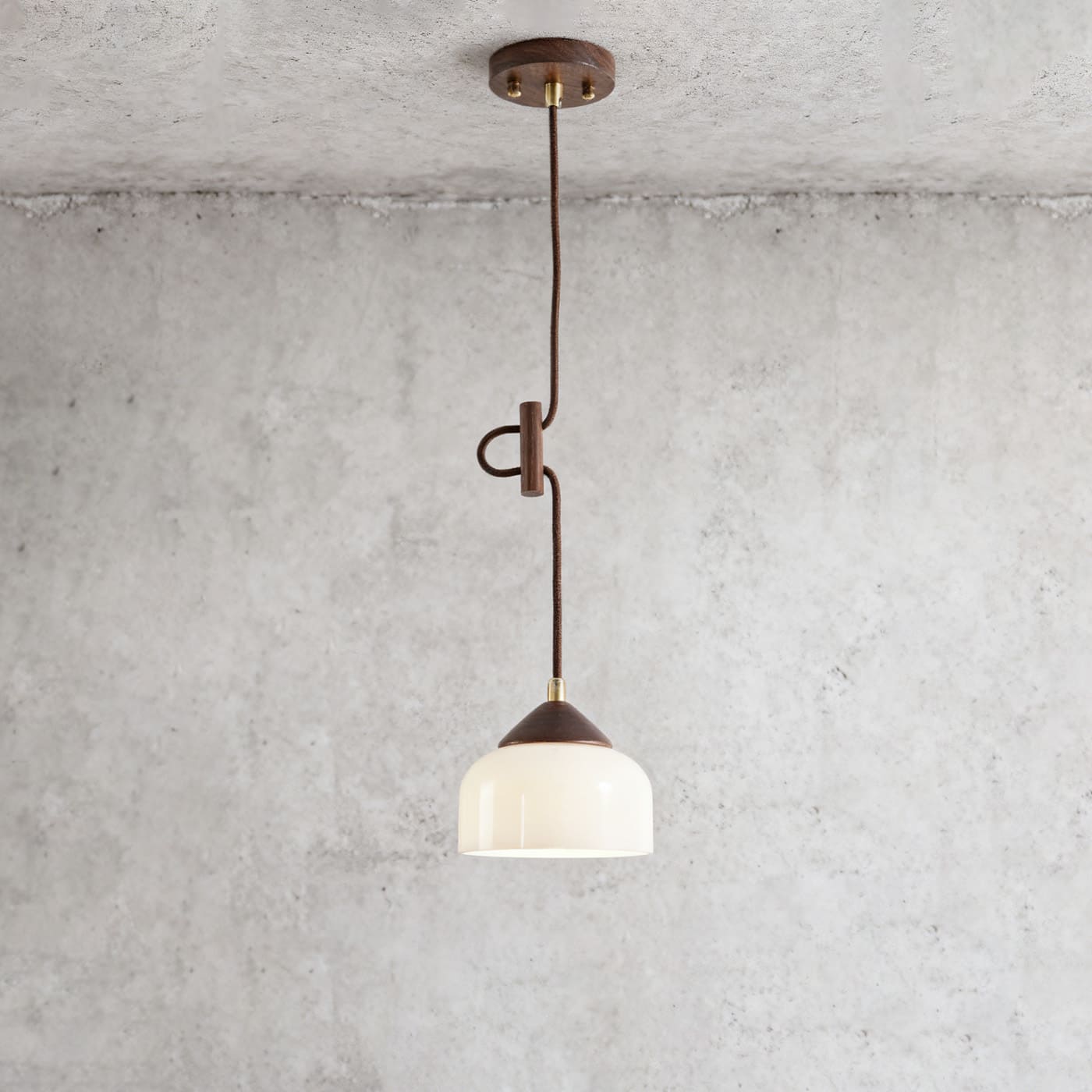 Antizer Minimalist Wood & Glass Pendant Light