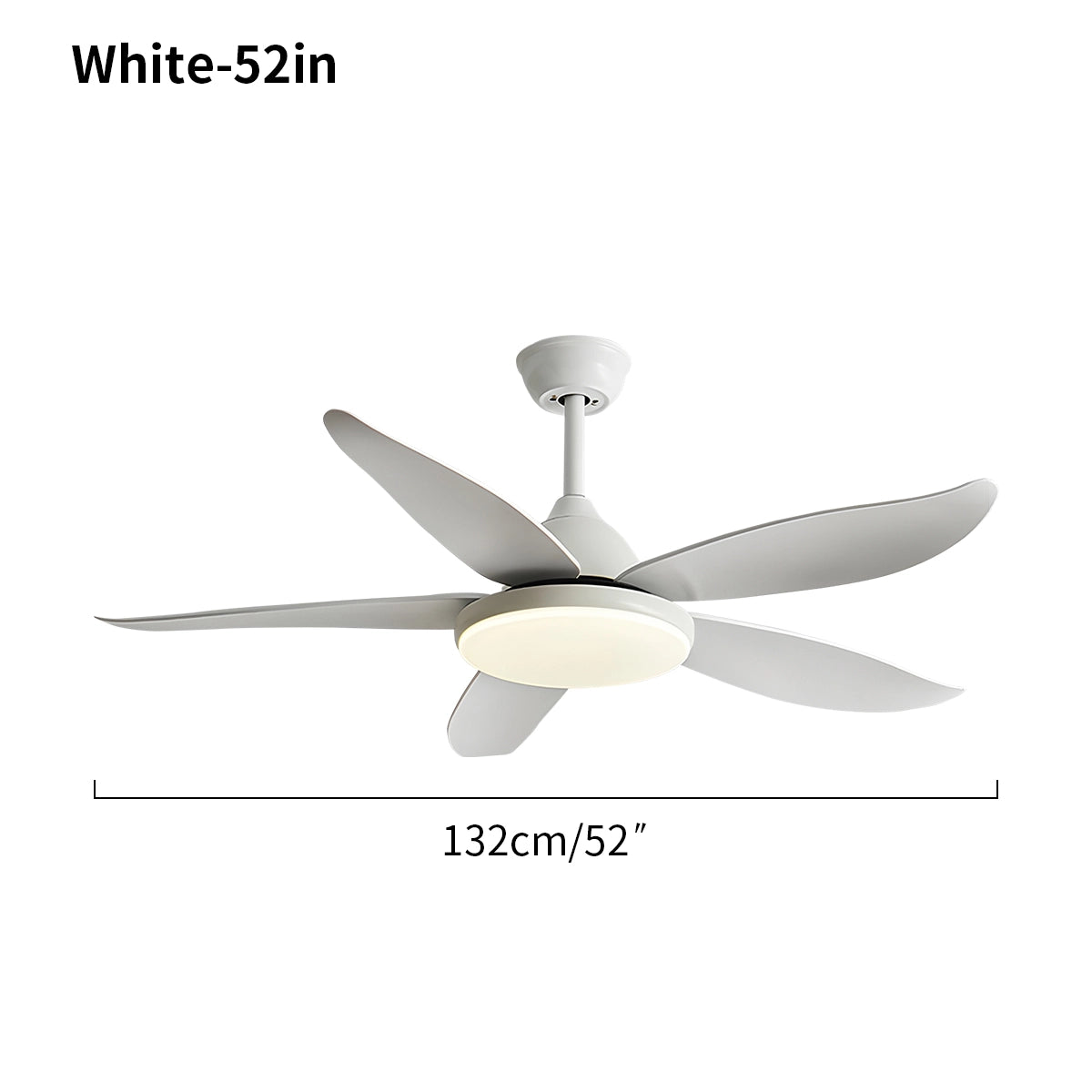 Antizer 5 Blade Contemporary Ceiling Fan Lamp