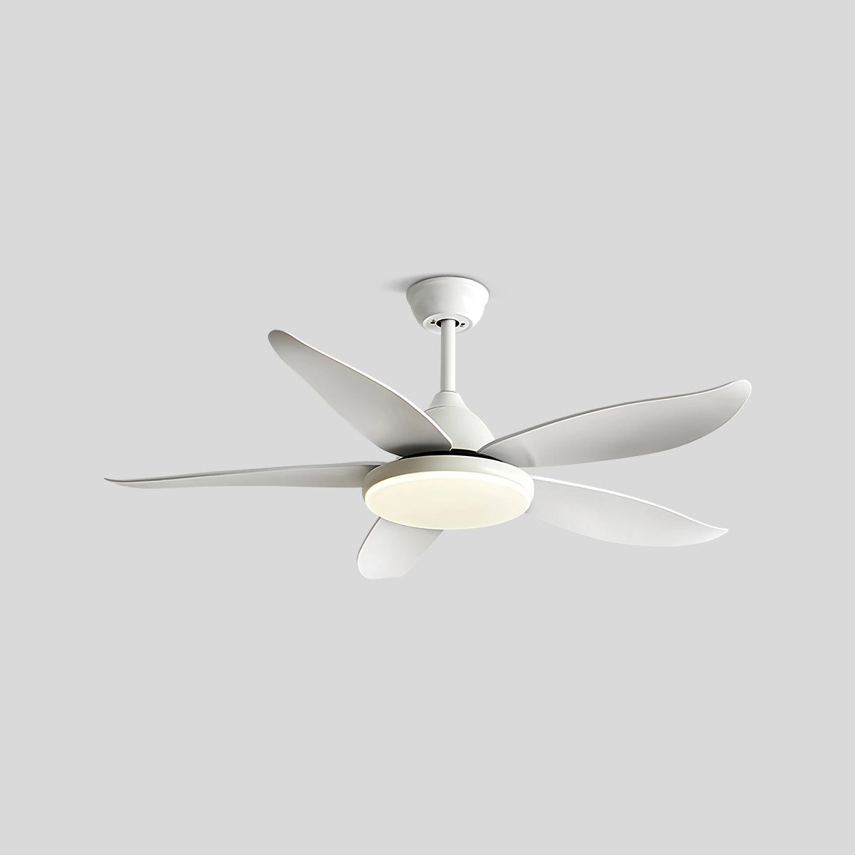 Antizer 5 Blade Contemporary Ceiling Fan Lamp White