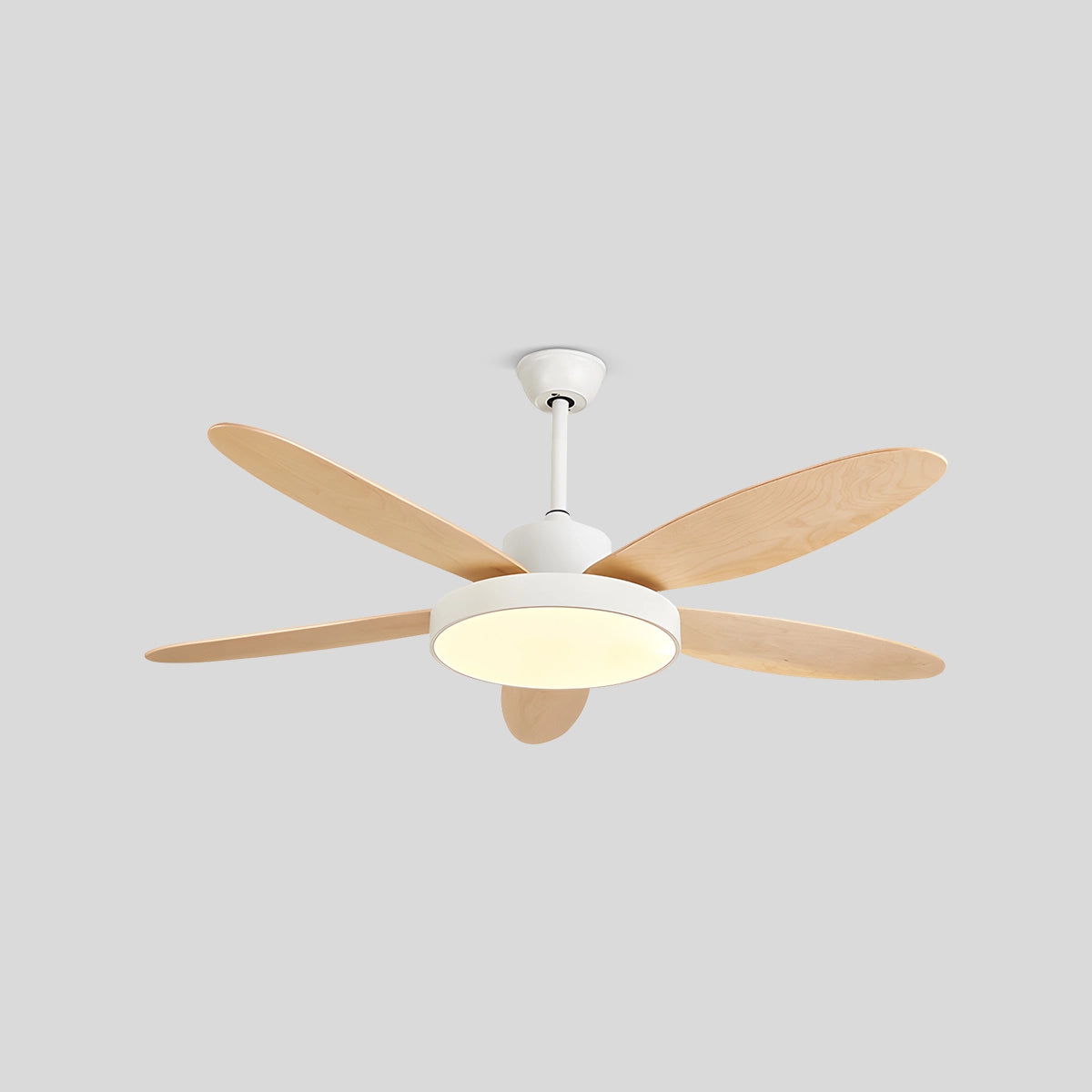 Antizer 5 Blade Modern Ceiling Fan Lamp for Living Room White
