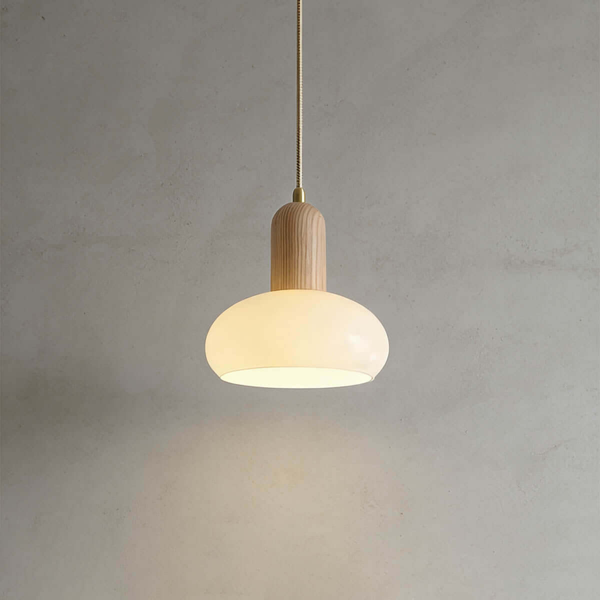 Antizer Modern Minimalist Wood Glass Pendant Light